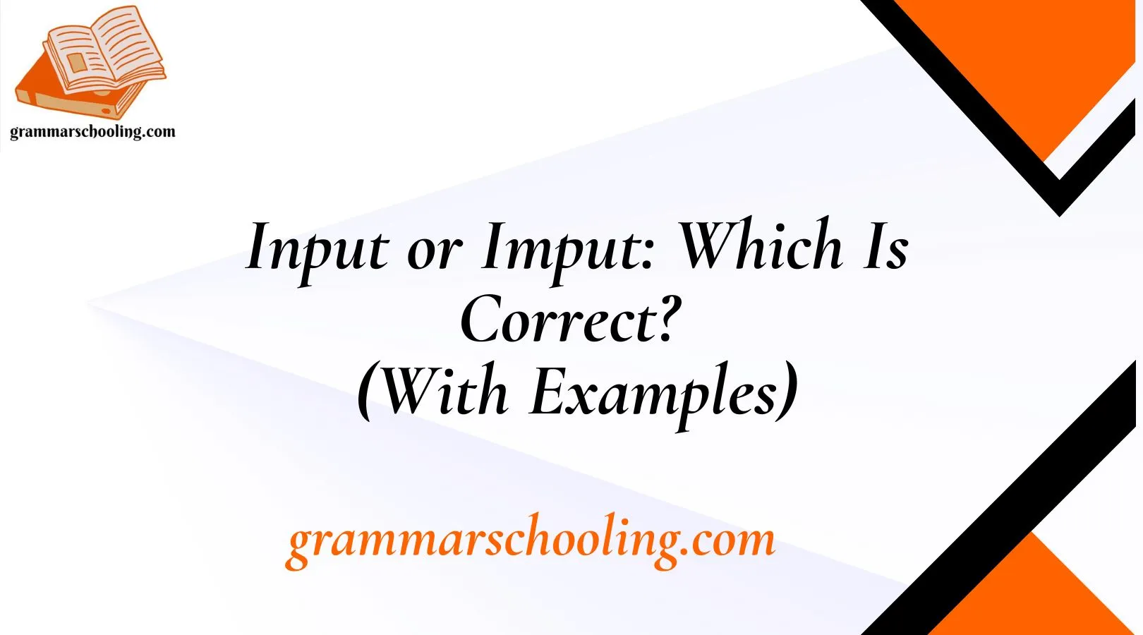 Input or Imput: Which Is Correct? (With Examples)