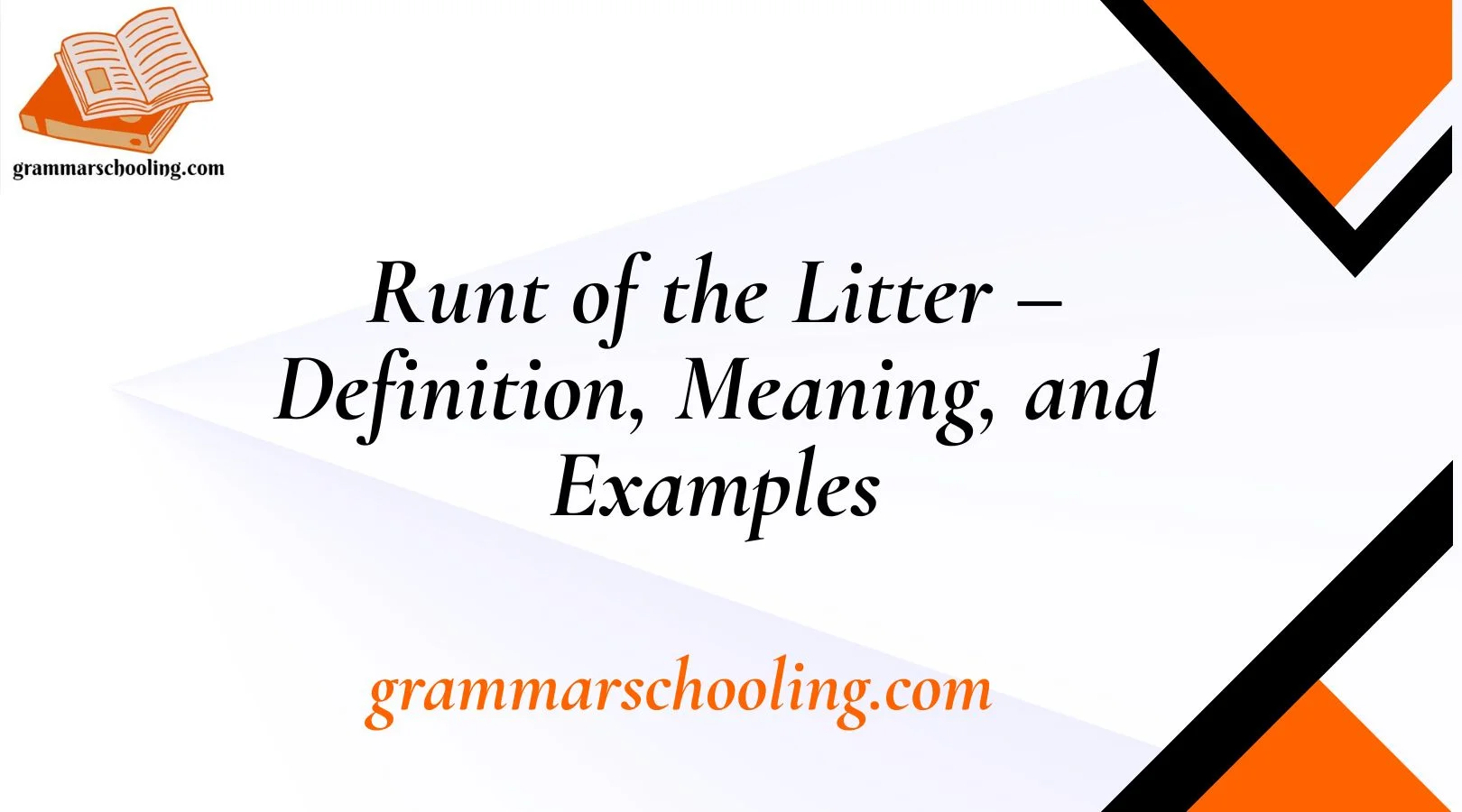 Runt of the Litter – Definition, Meaning, and Examples
