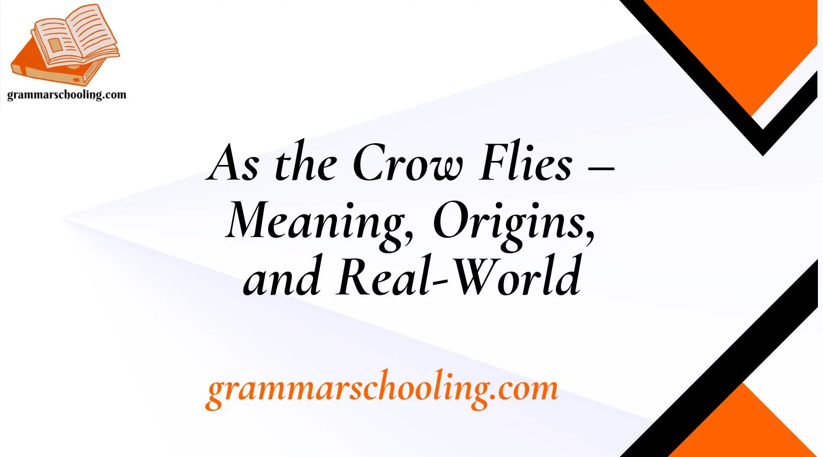 As the Crow Flies – Meaning, Origins, and Real-World