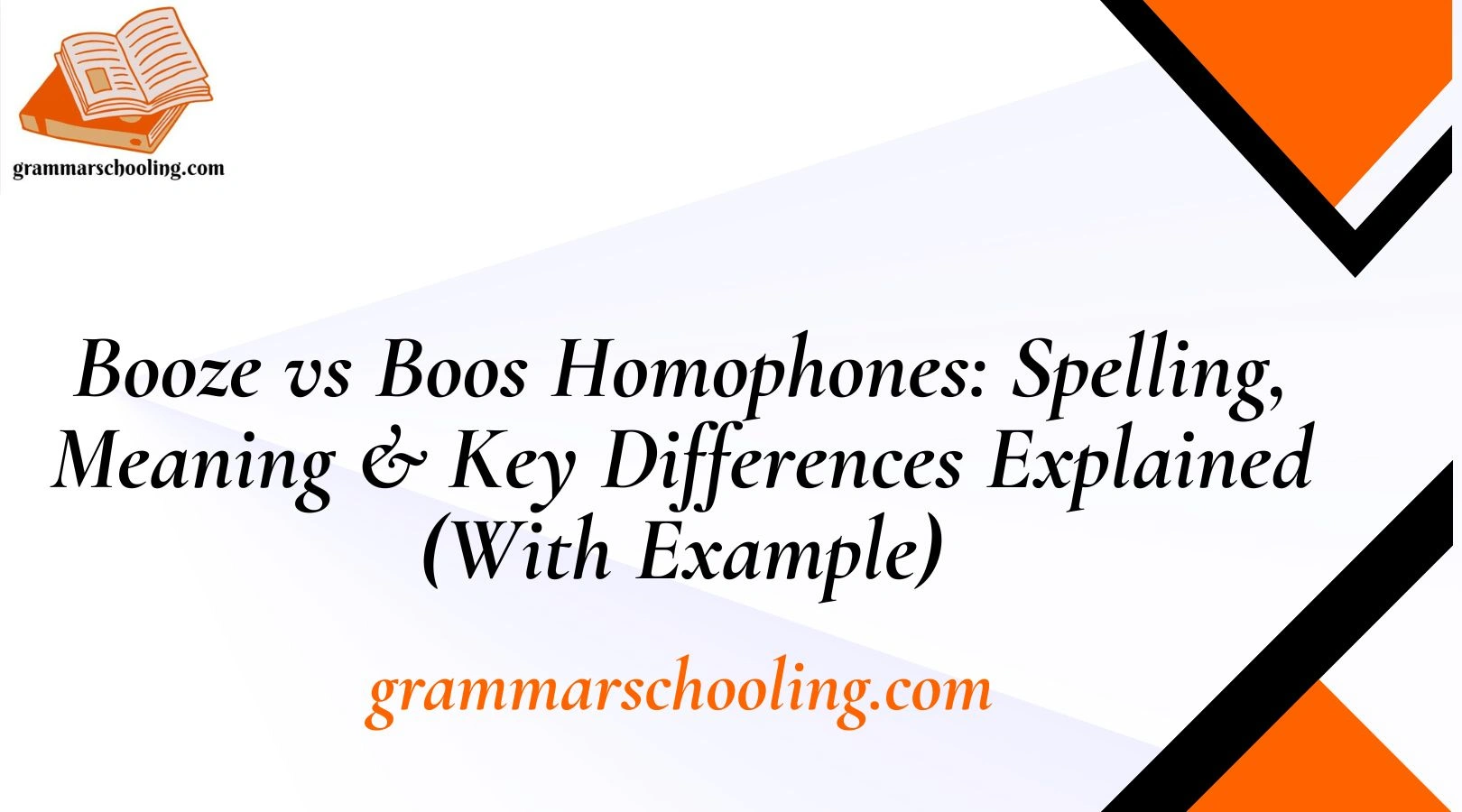 Booze vs Boos Homophones: Spelling, Meaning & Key Differences Explained (With Example)