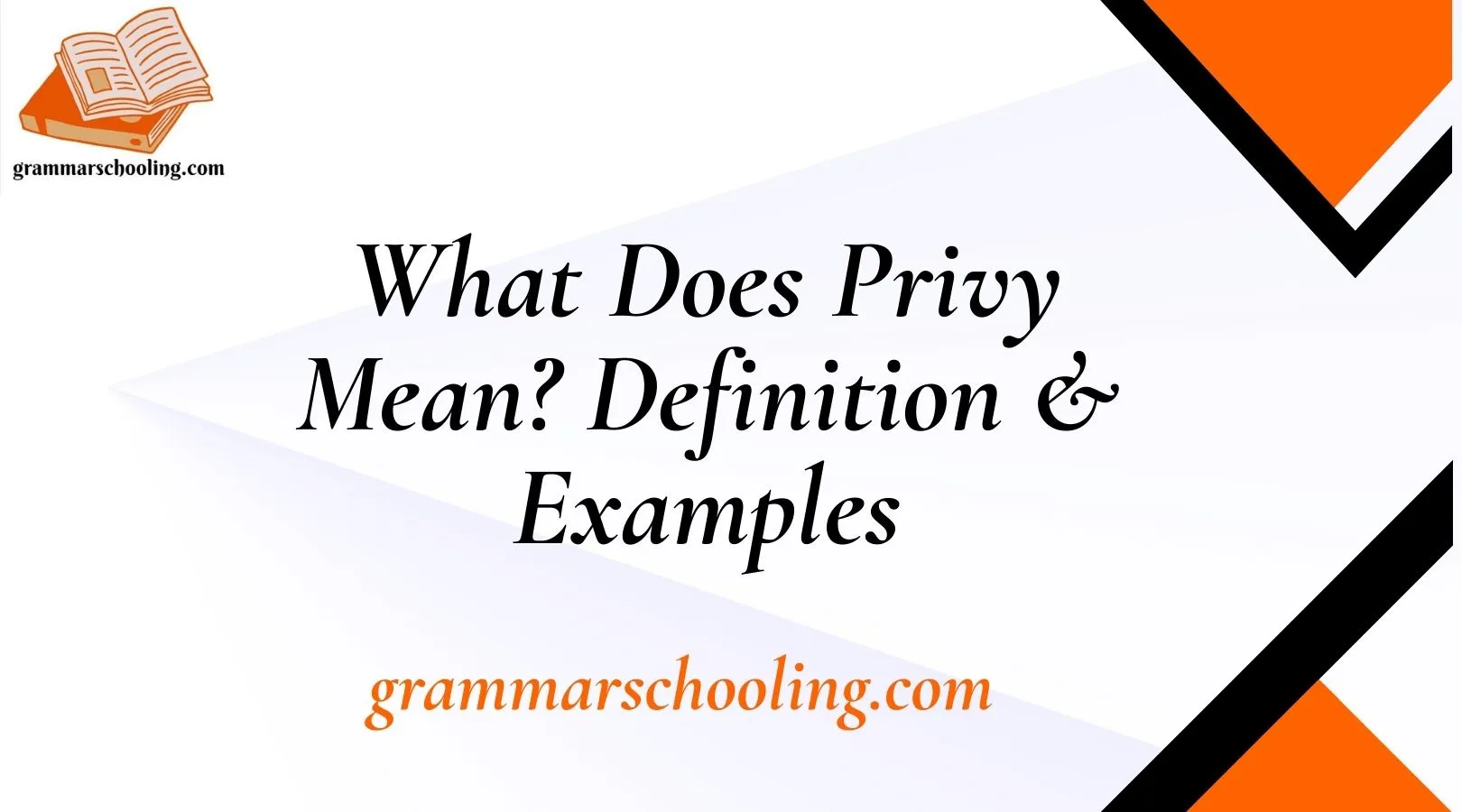 What Does Privy Mean? Definition & Examples