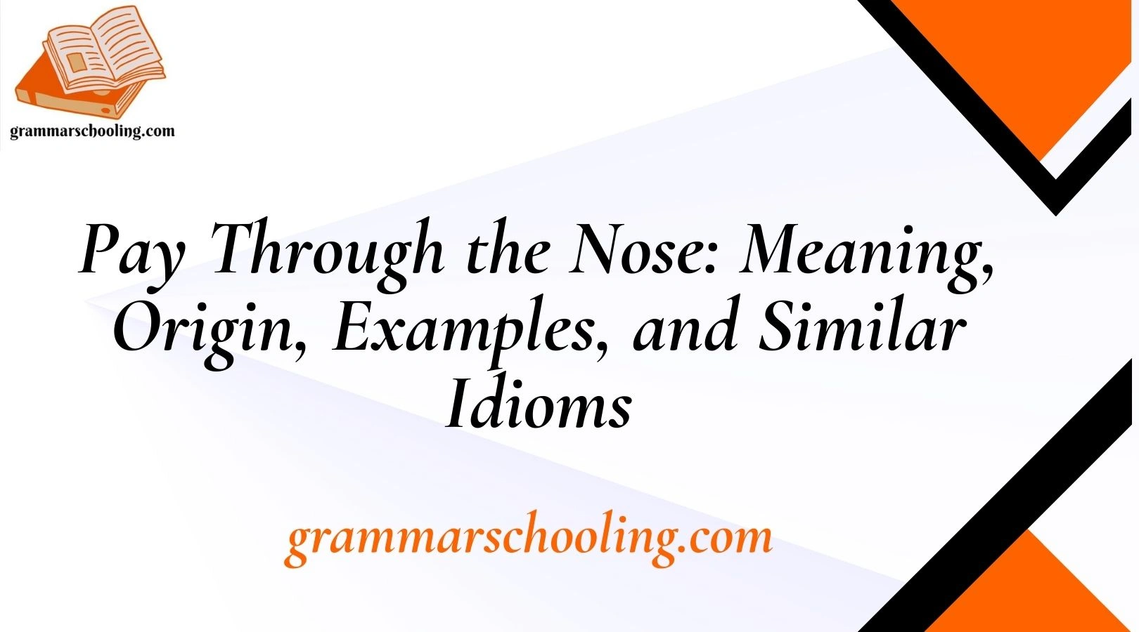 Pay Through the Nose: Meaning, Origin, Examples, and Similar Idioms