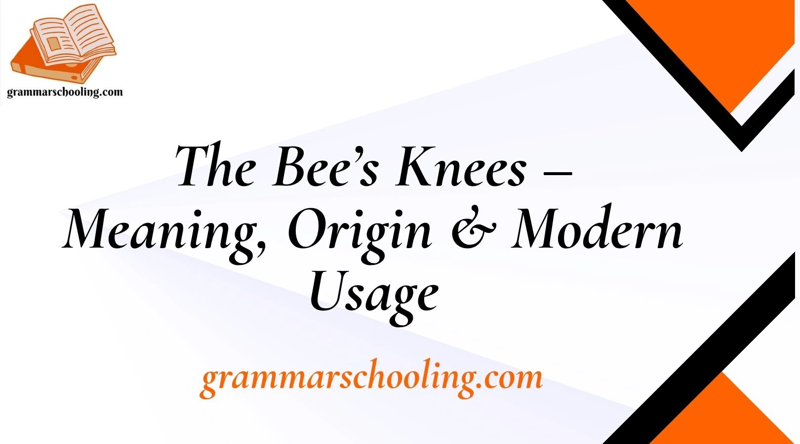 The Bee’s Knees – Meaning, Origin & Modern Usage