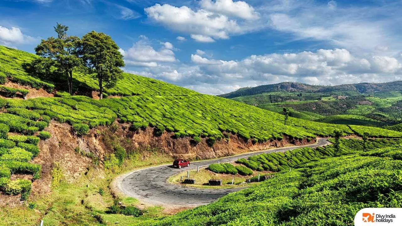 Discover Kerala A Complete Guide to Planning Your Dream Holiday