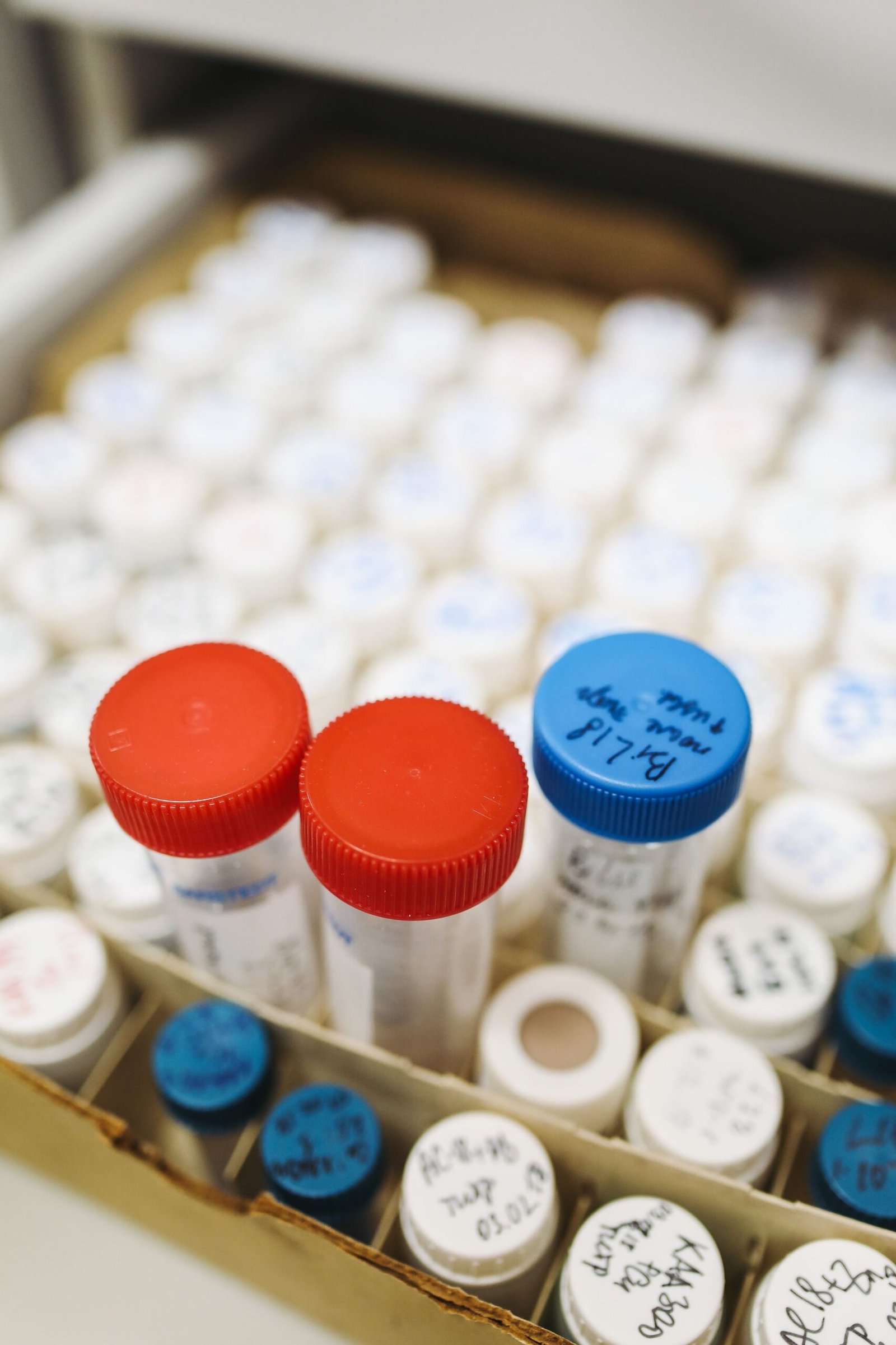 DNA Libraries