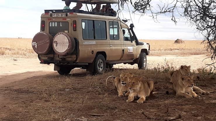 Attack Tourists While On Jeep